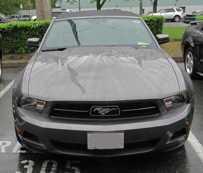 2010 ford mustang